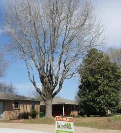 Monster Tree Service of Northwest Arkansas