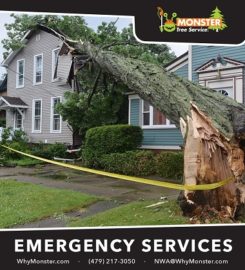 Monster Tree Service of Northwest Arkansas