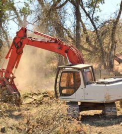 Al Miley Tree Removal