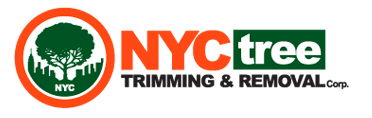 NYC Tree Trimming & Removal Corp