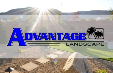 Advantage Landscape