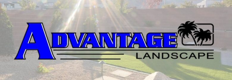 Advantage Landscape