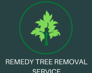 Remedy Tree Removal Service