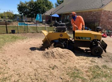 Pueblo Tree Care